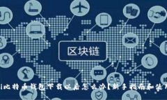 diaoti比特币钱包下载以后