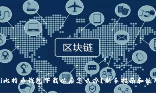 diaoti比特币钱包下载以后怎么办？新手指南和使用技巧