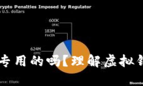虚拟币钱包都是专用的吗？理解虚拟钱包的种类与特点