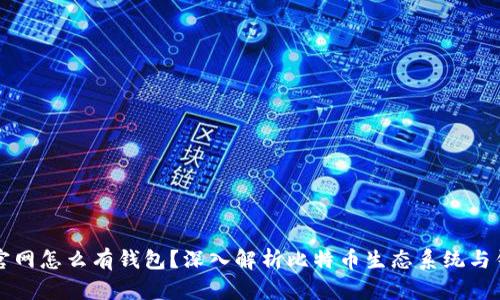 比特币没有官网怎么有钱包？深入解析比特币生态系统与钱包运作原理