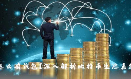 比特币没有官网怎么有钱包？深入解析比特币生态系统与钱包运作原理