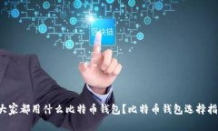  大家都用什么比特币钱包
