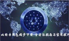  比特币钱包同步下载：全