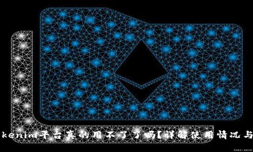 ### Tokenim平台真的用不了了吗？详解使用情况与解决方法