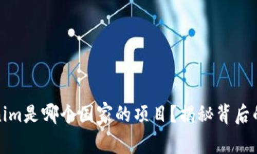 Tokenim是哪个国家的项目？揭秘背后的故事