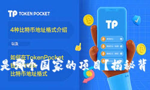Tokenim是哪个国家的项目？揭秘背后的故事