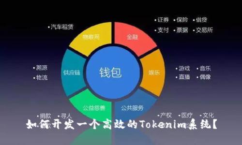 如何开发一个高效的Tokenim系统？
