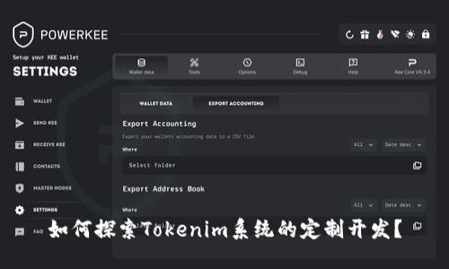 如何探索Tokenim系统的定制开发？