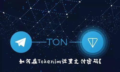 如何在Tokenim设置支付密码？