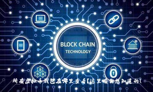 所有虚拟币钱包在哪里查看？这里有你想知道的！