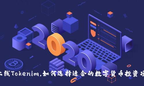 币上线Tokenim，如何选择适合的数字货币投资项目？