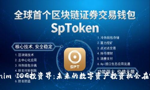 Tokenim IDG投资界：未来的数字资产投资机会在哪里？