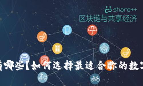 USDT主流钱包有哪些？如何选择最适合你的数字资产存储方案？