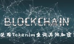 如何使用Tokenim查询其他加