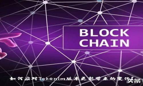如何应对Tokenim版本更新带来的变化？