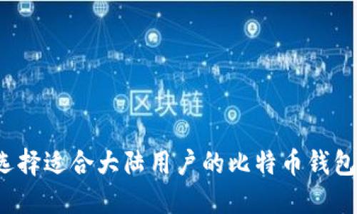 如何选择适合大陆用户的比特币钱包下载？